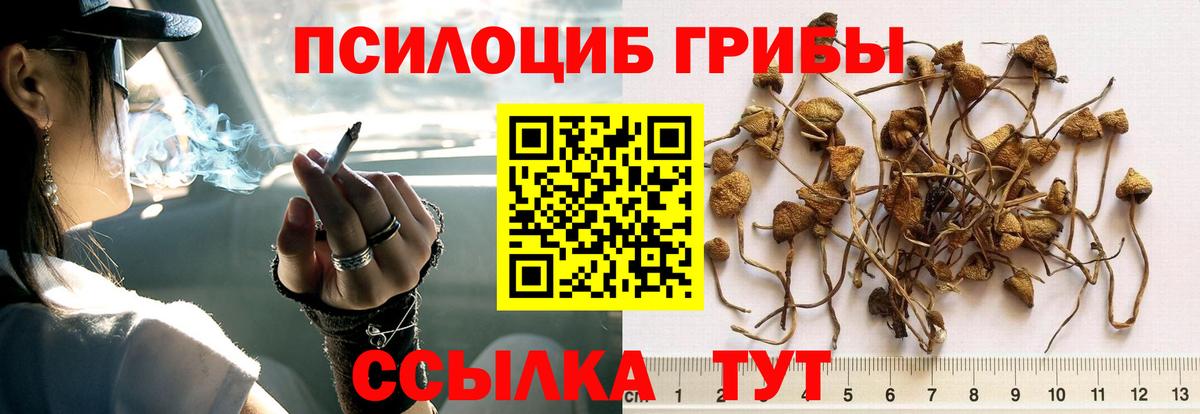 Волоколамск  Галлюциногенные грибы ЛСД  Галлюциногенные грибы MAGIC MUSHROOMS  Вход с VPN 